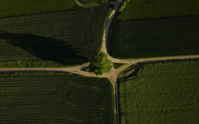 Tendencias de Link Building nacional en 2026: del enlace tradicional a la Cita en IA