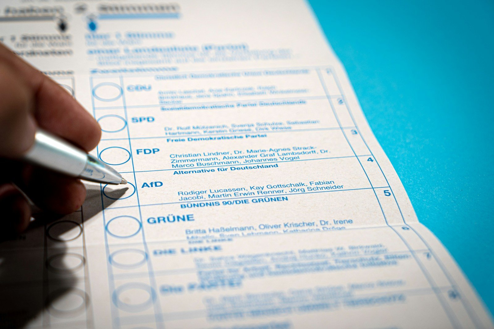 Documento de revisión con filtros de calidad aplicados a dominios candidatos